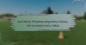 Axel Witsel: Příspěvky belgickému fotbalu, Vliv na mladé hráče, Odkaz