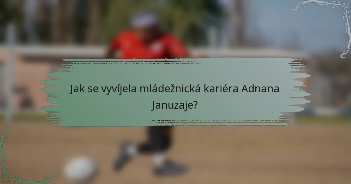 Jak se vyvíjela mládežnická kariéra Adnana Januzaje?