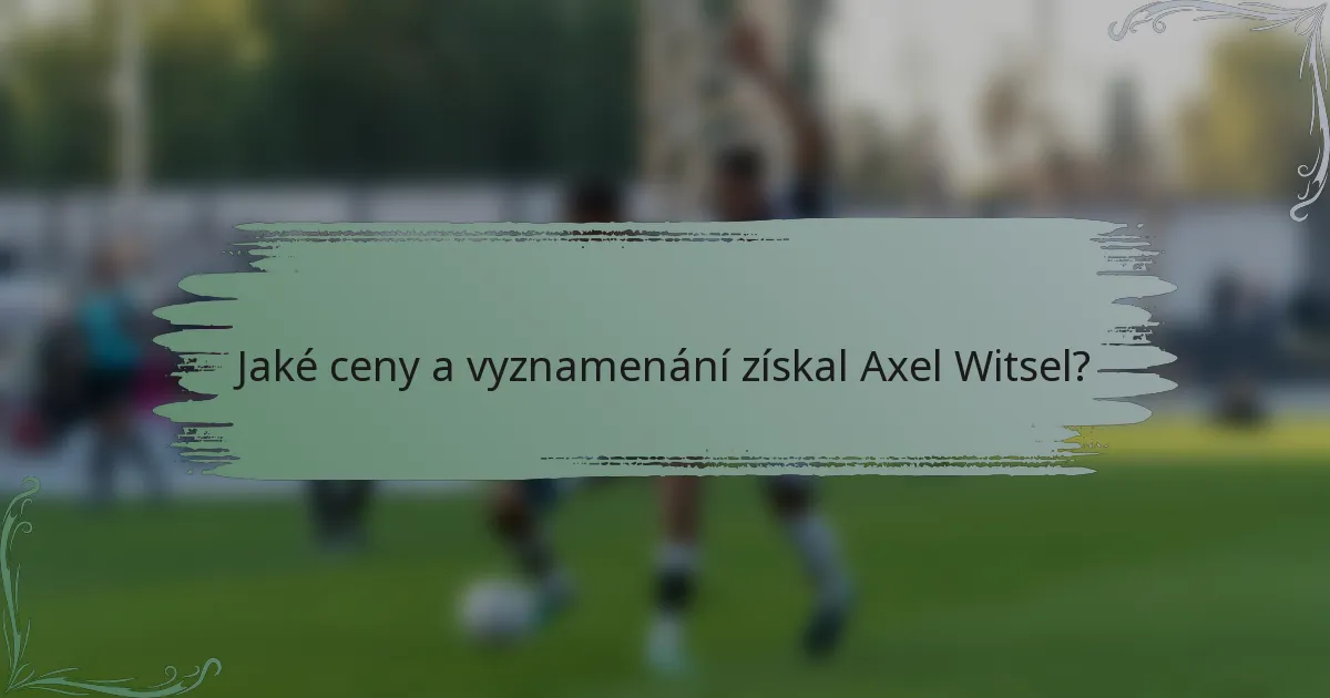 Jaké ceny a vyznamenání získal Axel Witsel?