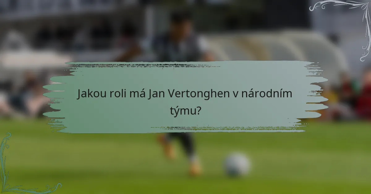 Jakou roli má Jan Vertonghen v národním týmu?